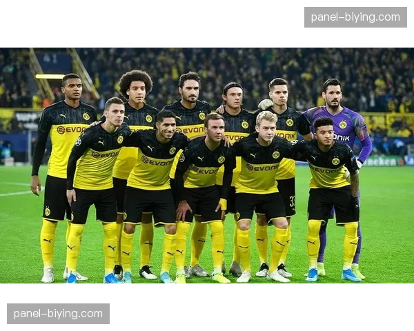 多特蒙德计划建设可容纳3000人多功能体育馆，投资1500-2000万欧元